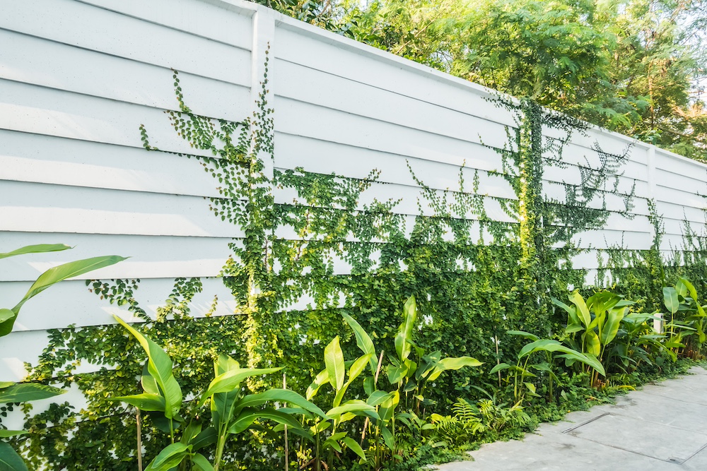 Fencing around Garden