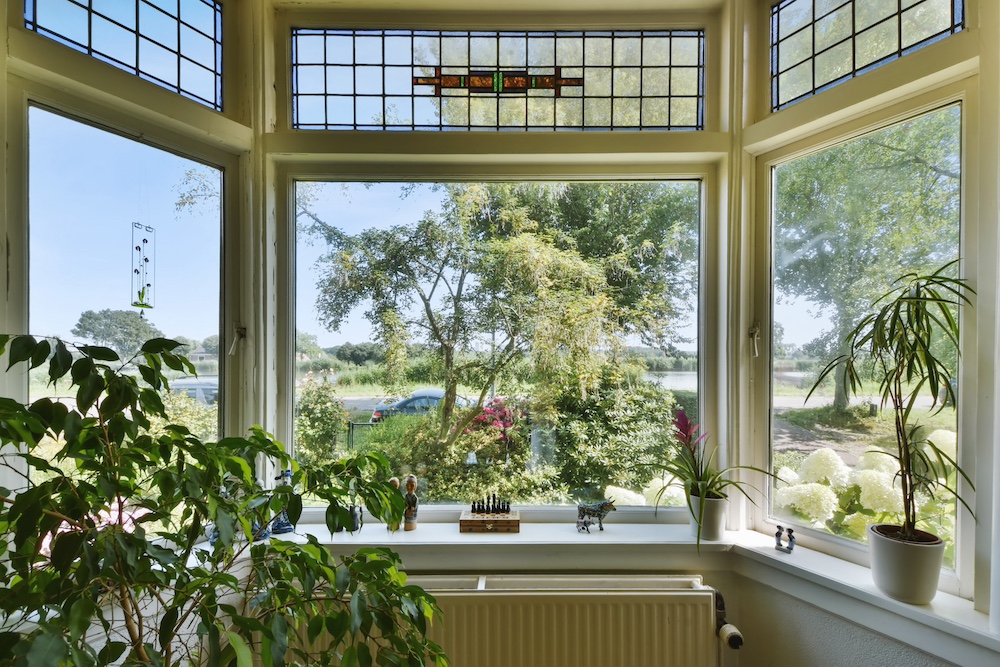 Greening Your Space Bay-Window Plant Beauties