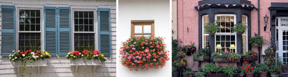 Hanging Window Planters for Vertical Greenery