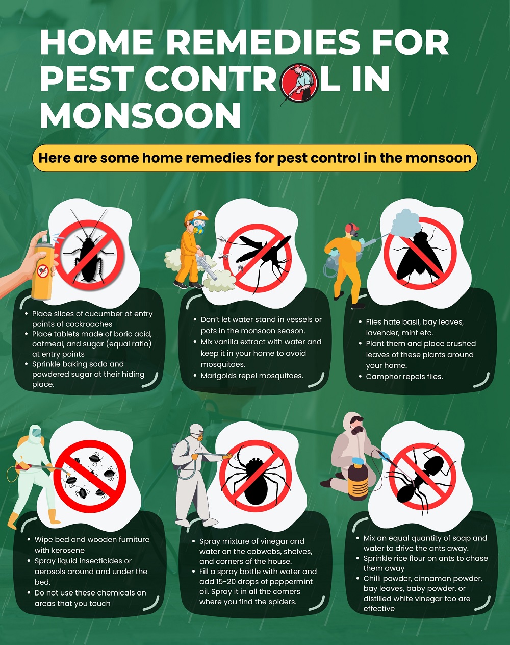 Home Remedies for Pest Control in Monsoon