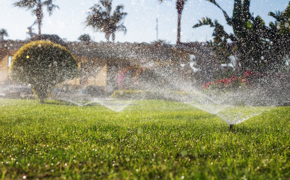 Irrigation Systems for Gardening
