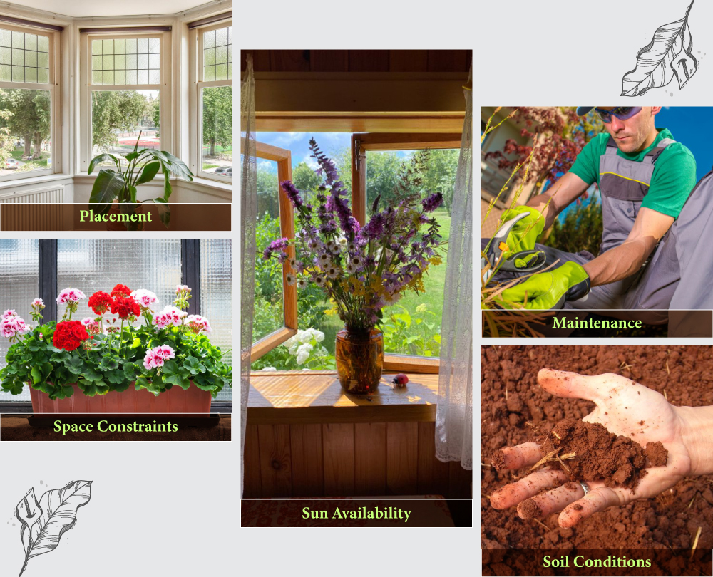 Key Factors to Consider Before Planning a Bay Window Garden
