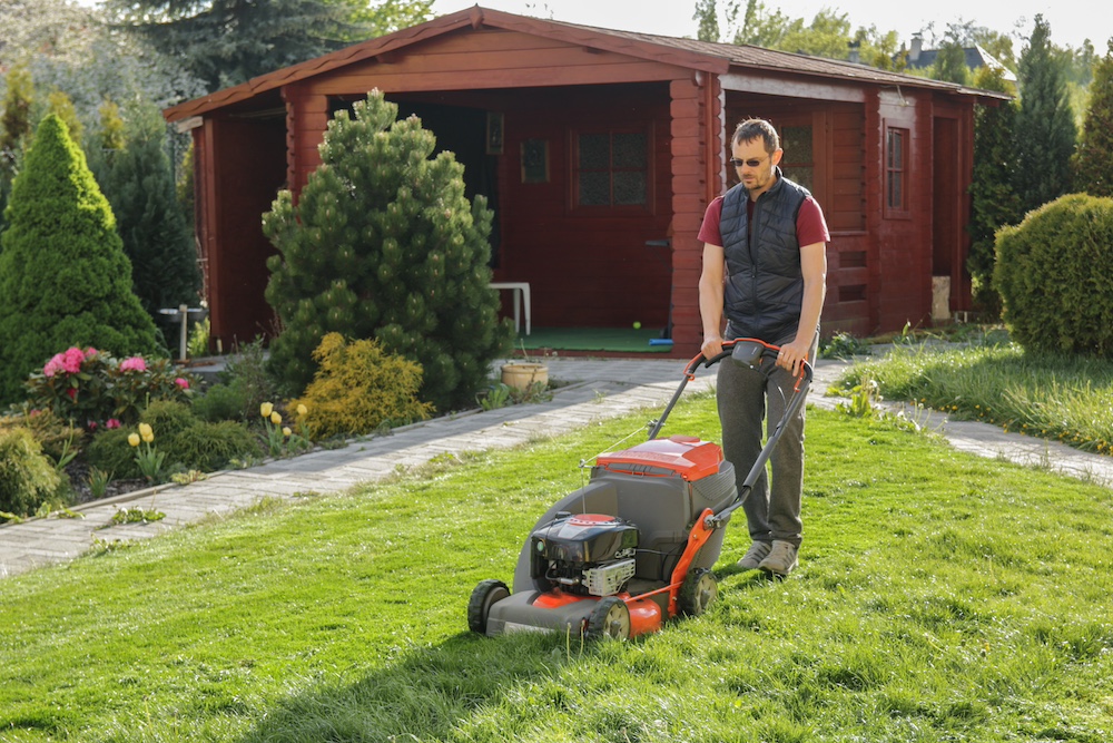 Maintaining Lawn Health and Appearance