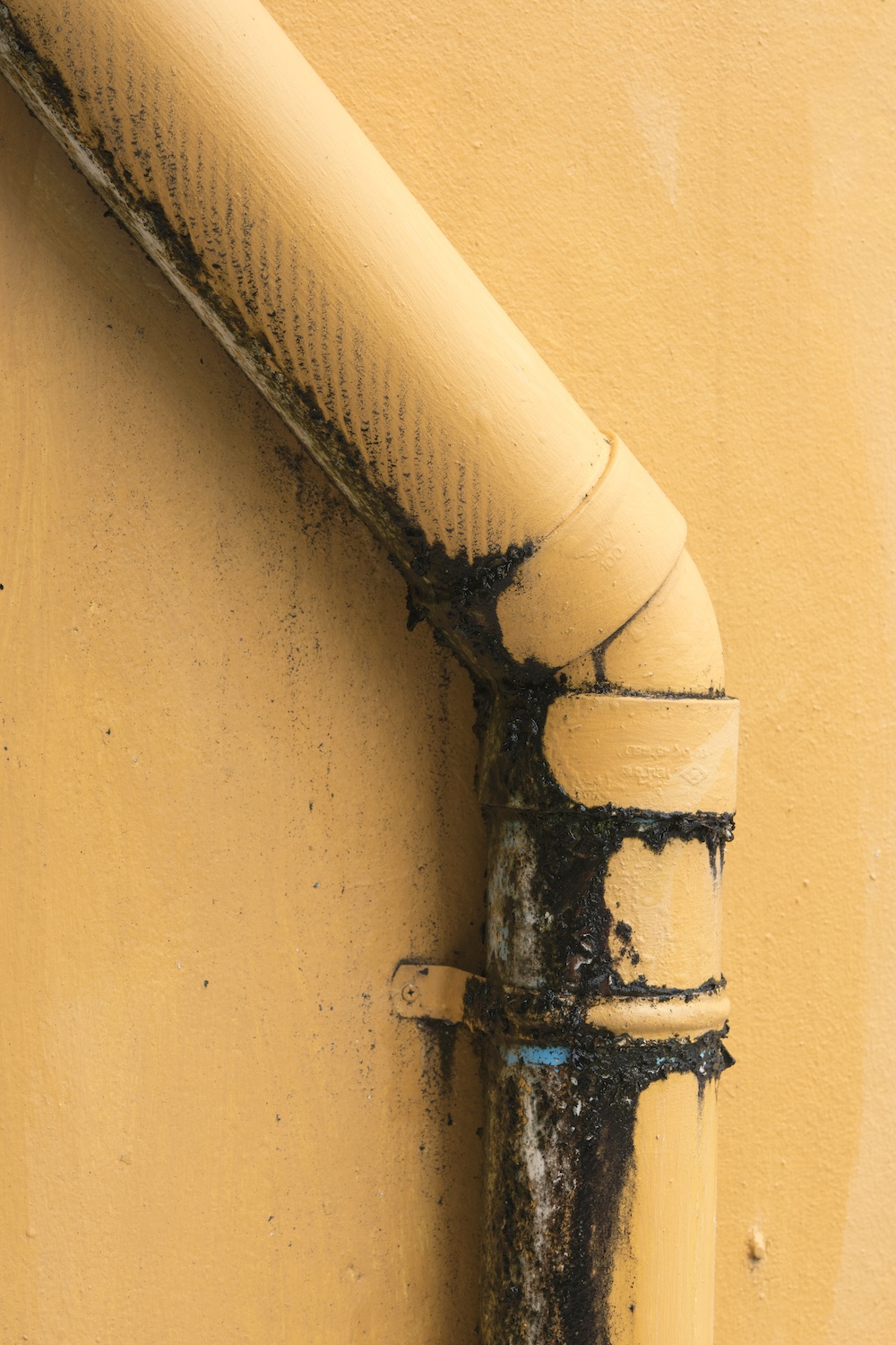 Mold Growth around Pipeline