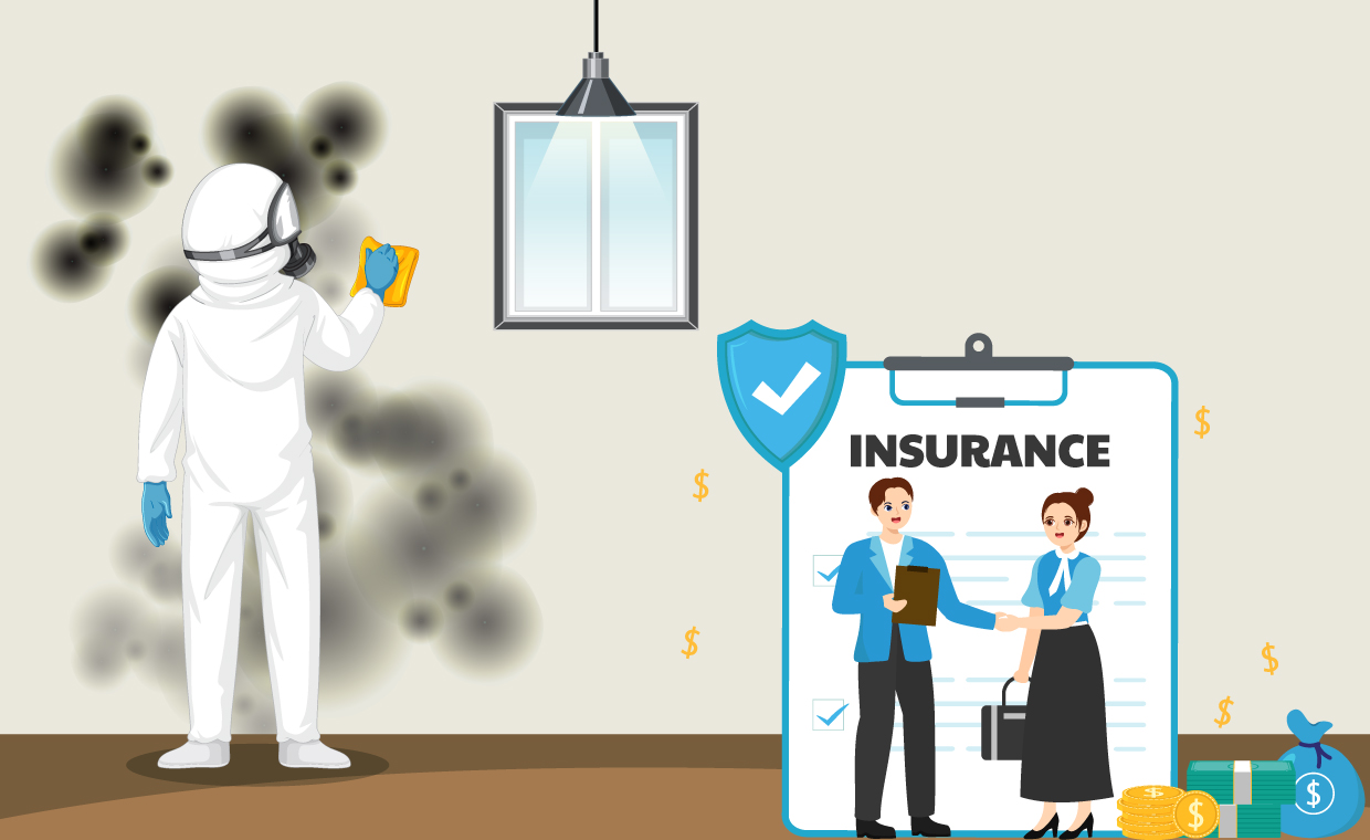 Mold Insurance Claims
