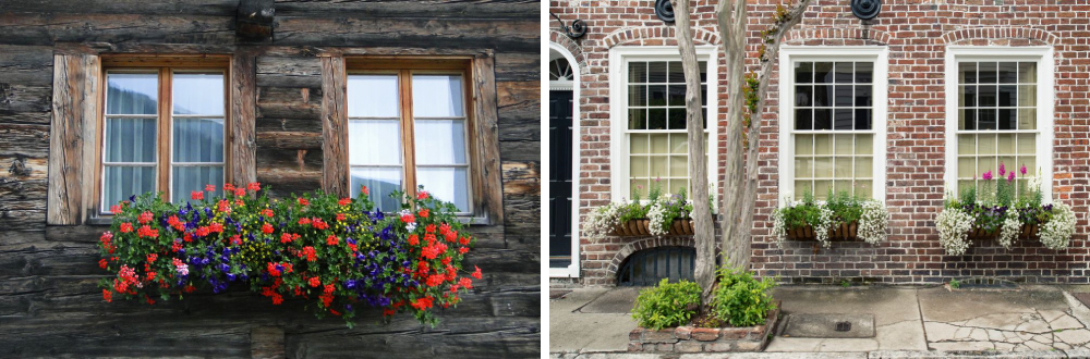 Raised Flower Planters Below House Windows