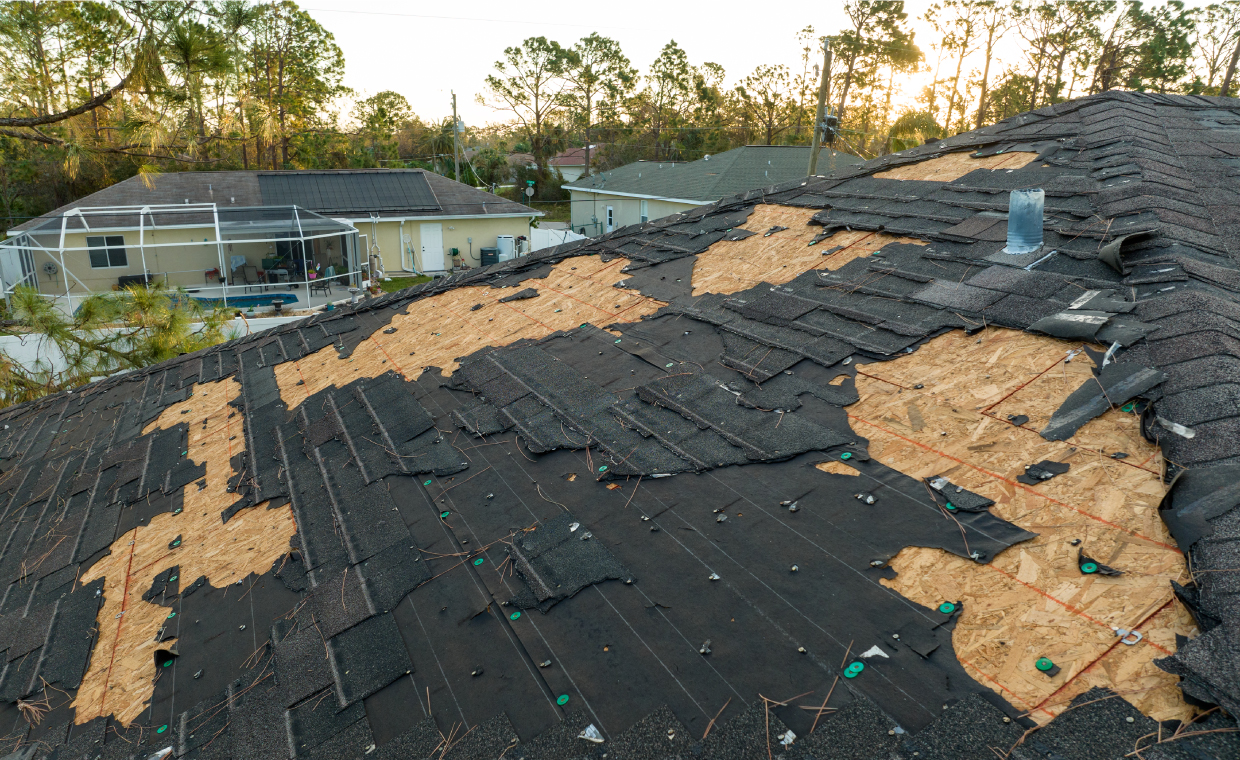 Signs of Roof Damages