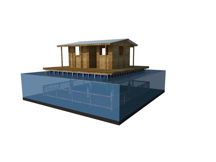 Casa Anfibia, Nicaragua