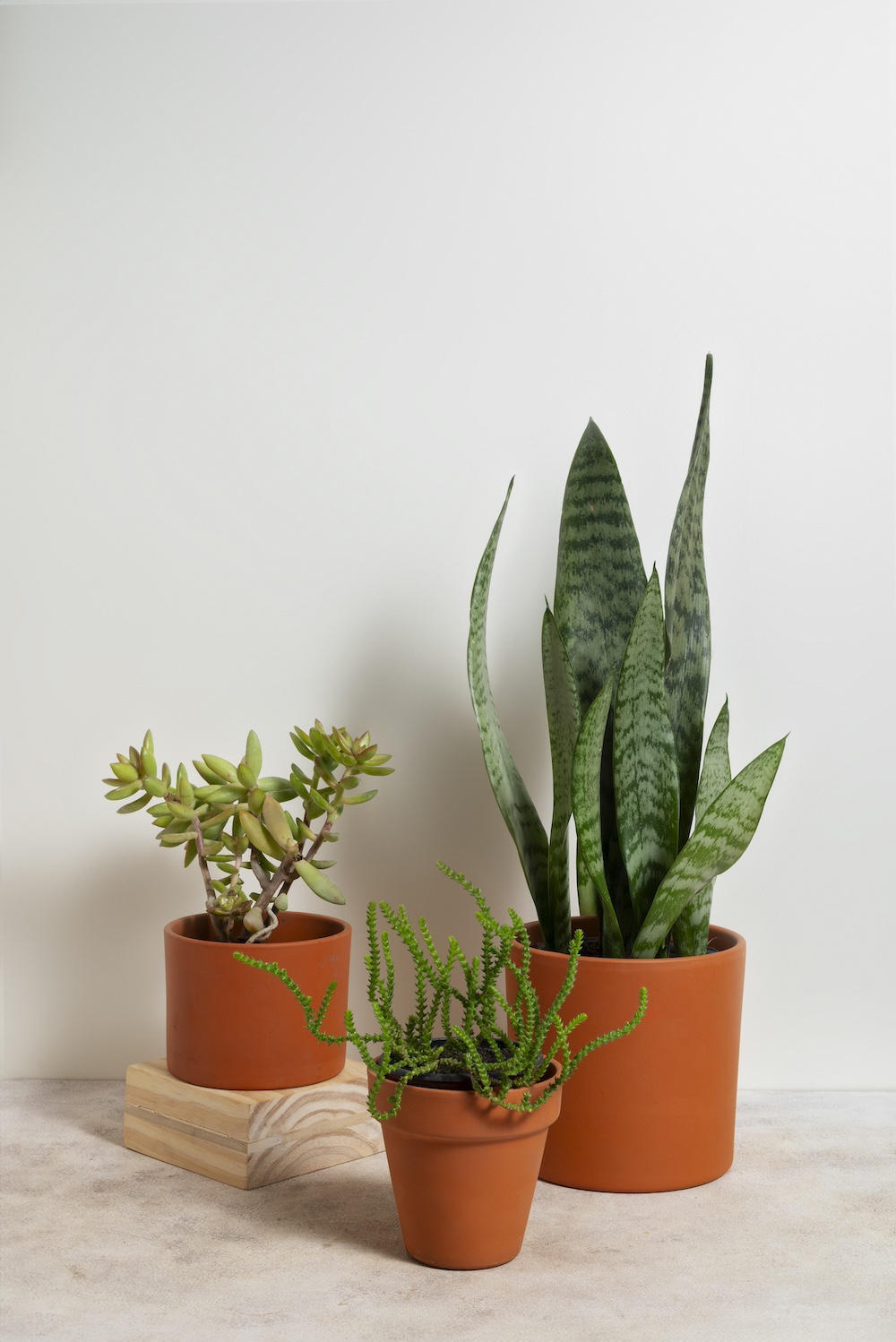 Choose Appropriate Pot