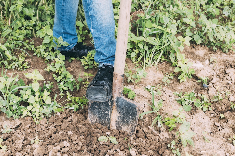 Install the Electrical Cables for Backyard Light