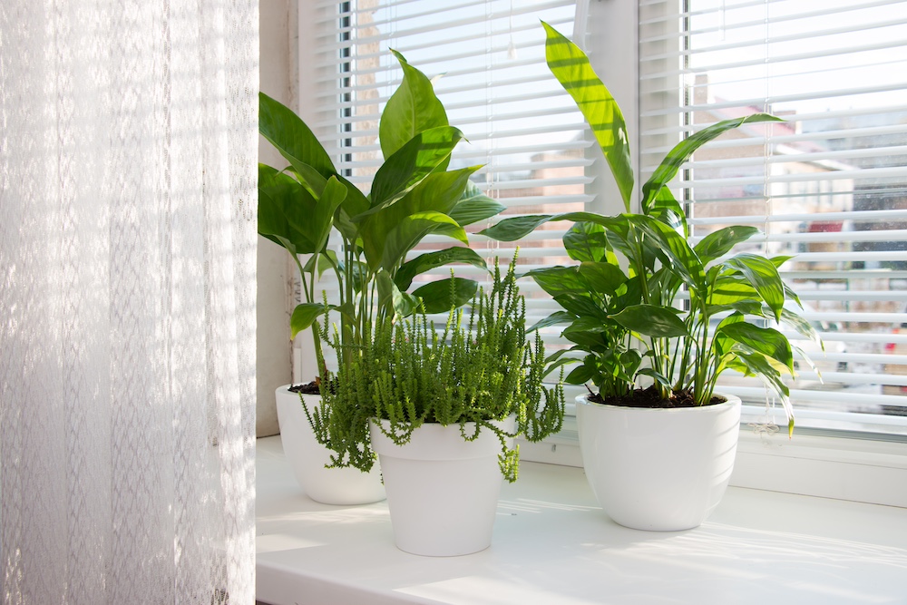 Maintain Right Temperature, Humidity and Ventilation
