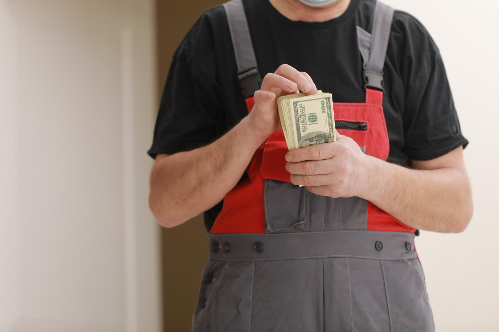 Professional Plumber Reduce Plumbing Cost