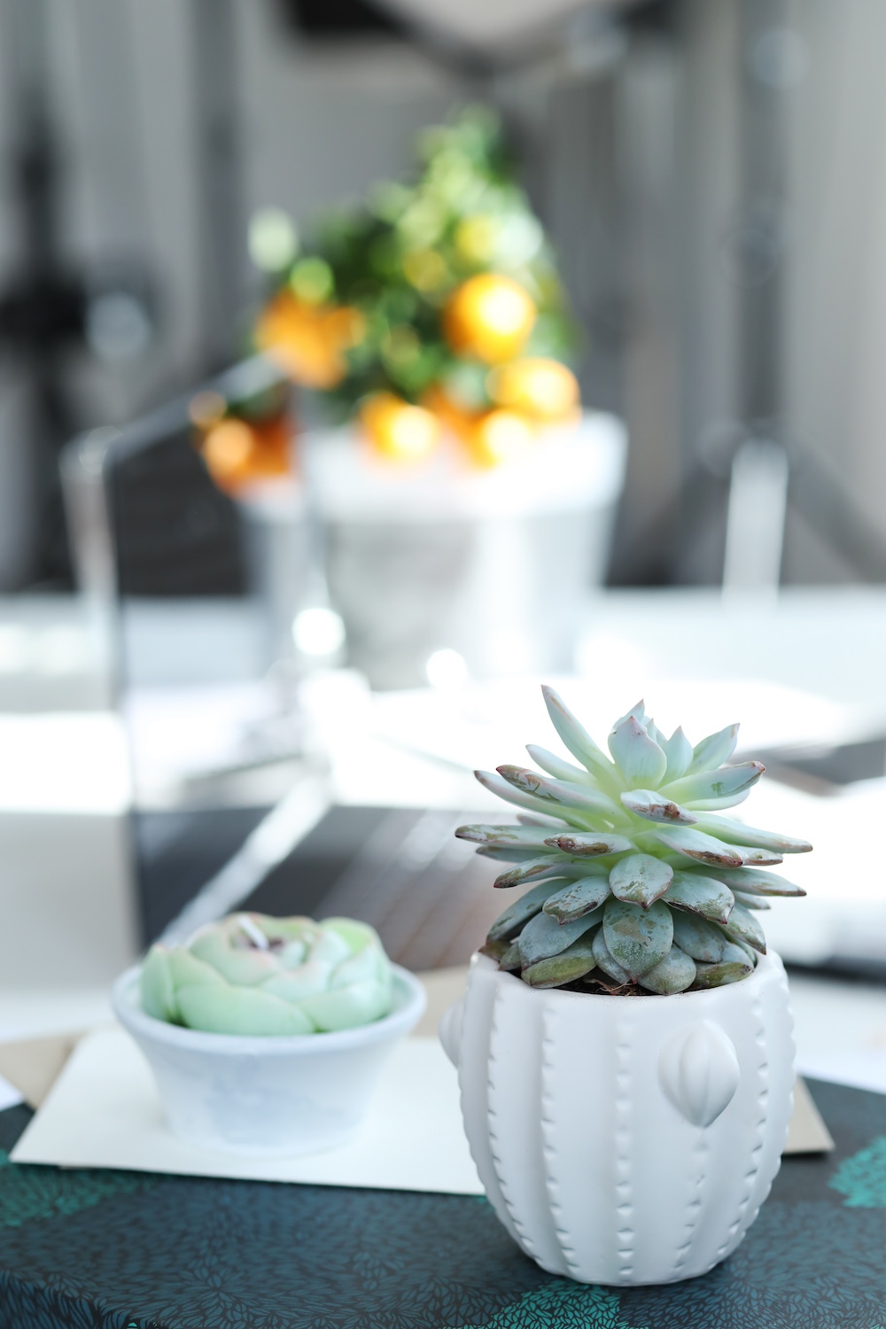 Succulents as Dining Table Accents