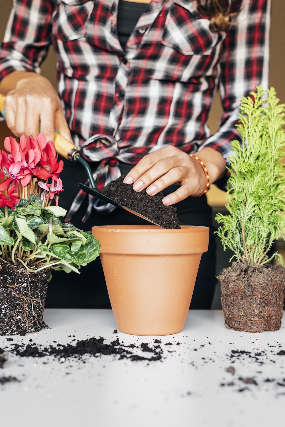 Use Appropriate Potting Soil