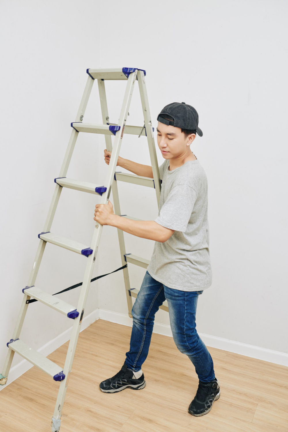 Weight of the Ladder