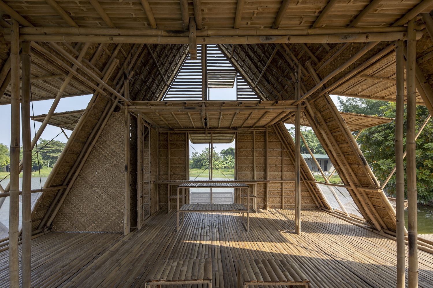 Bamboo as Biocomposite material