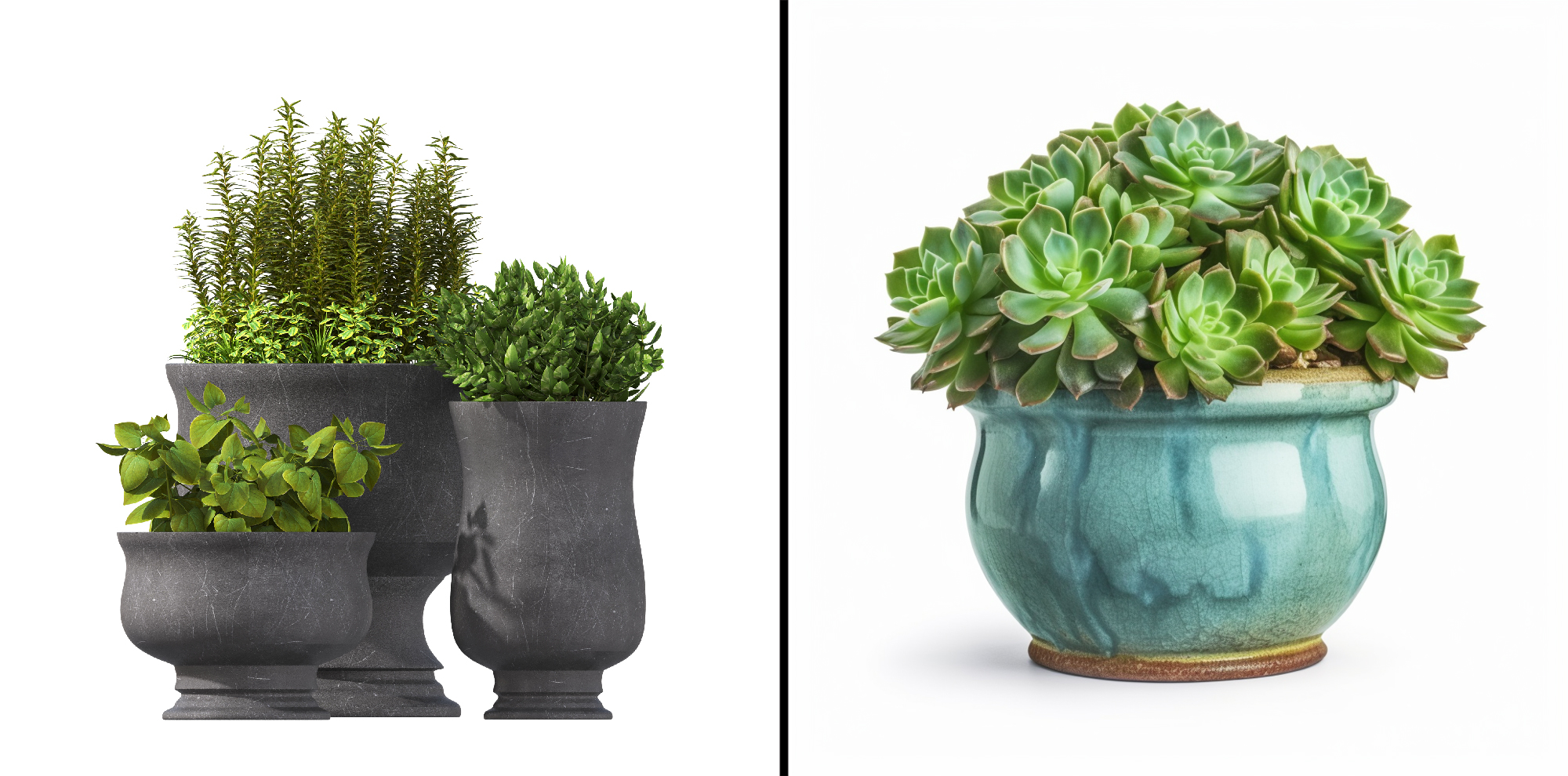 Ceramic Planters