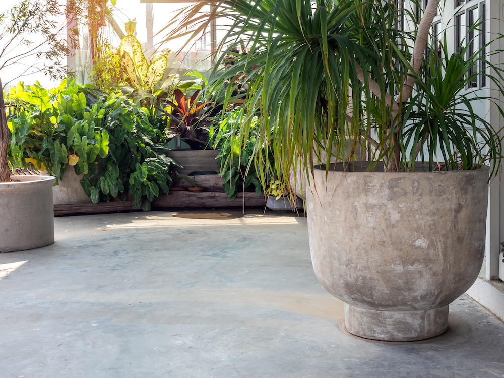 Concrete Planter