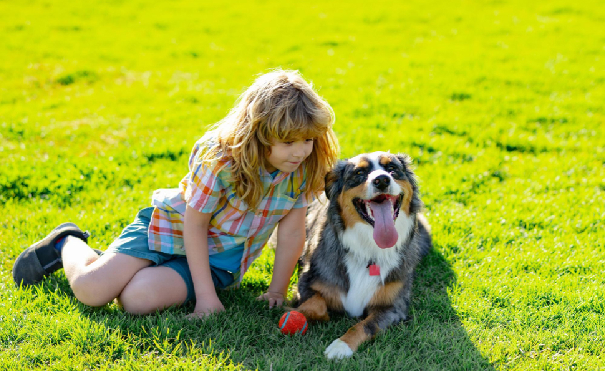 Creating a Healthy Lawn for Kids and Pets