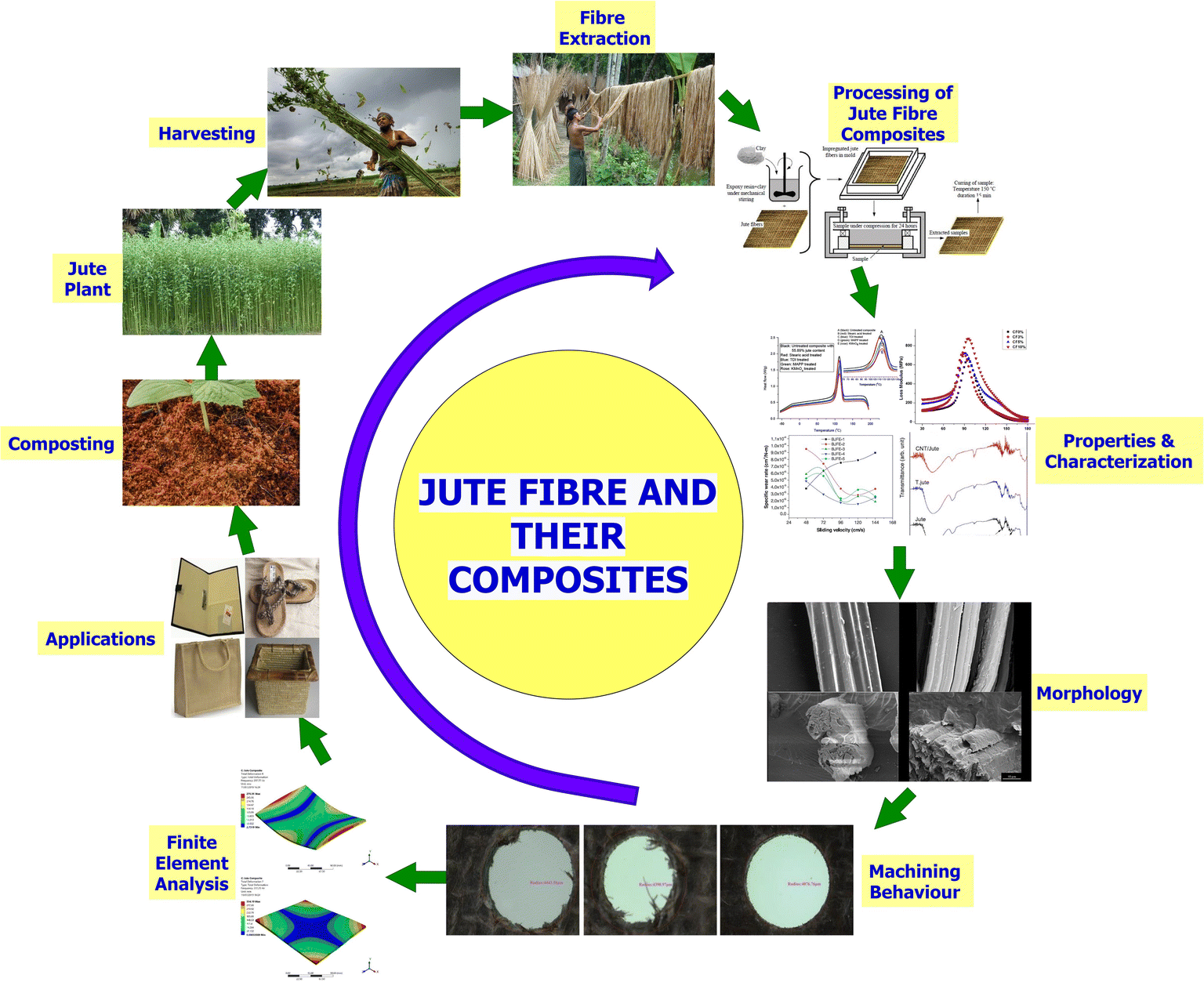 Jute as Biocomposite material