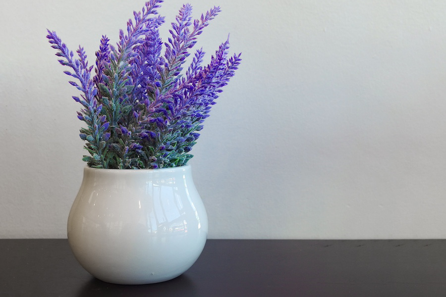 Lavender