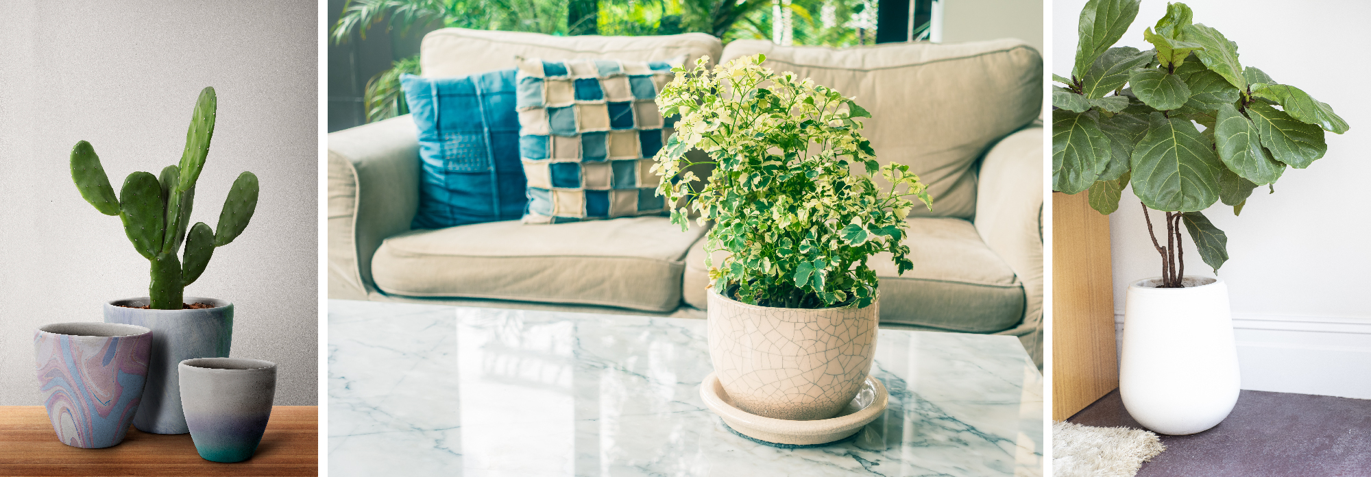 Planters