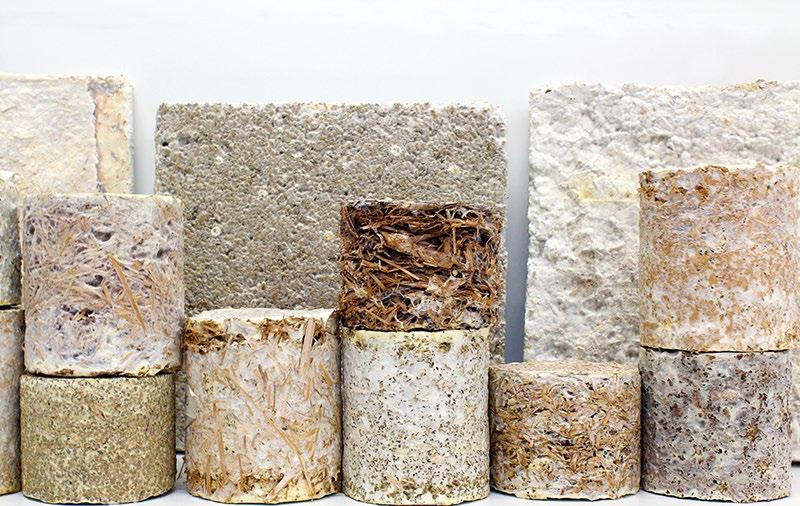 Mycelium Materials