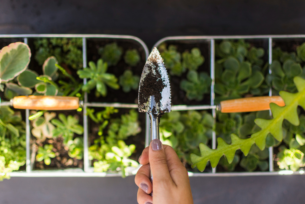Planting and Potting