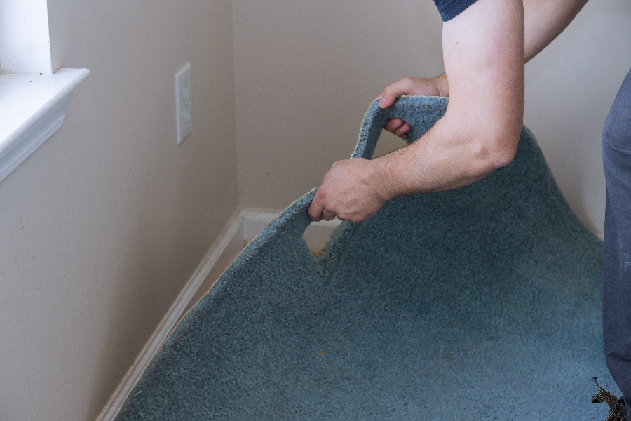 Removing wall-to-wall carpeting for removing dust mites