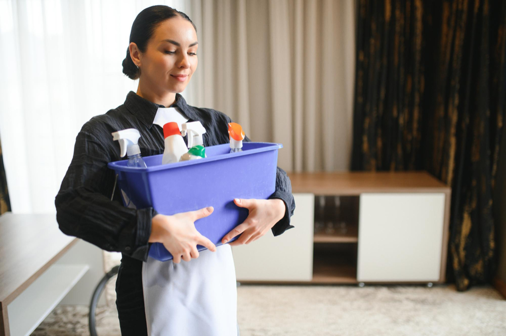 Research Local Maid Services