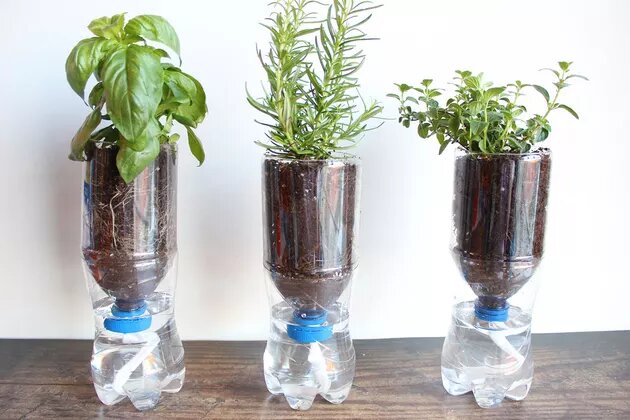 Self-Watering Glass Bottle Planters