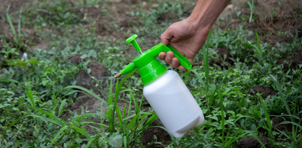 Use Natural Weed Killers