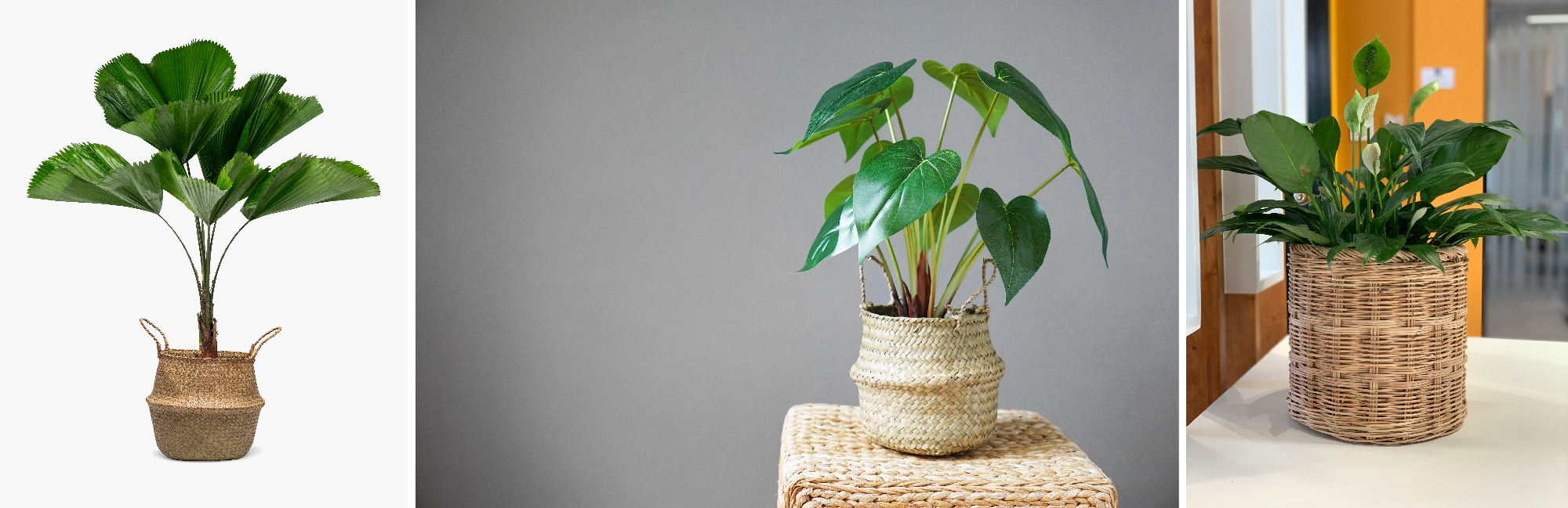 Woven Basket Planters
