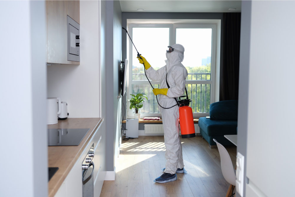 Get Rid of Pests and Bugs from Home