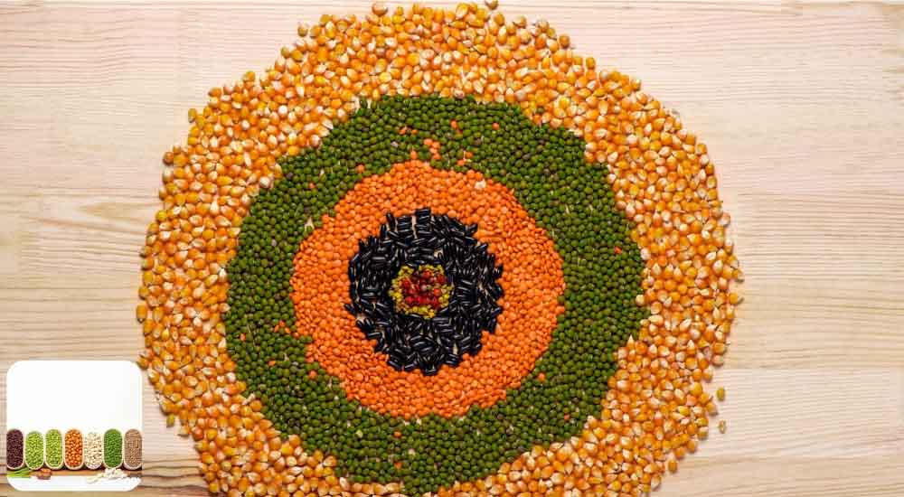 Grain and Pulses Rangoli