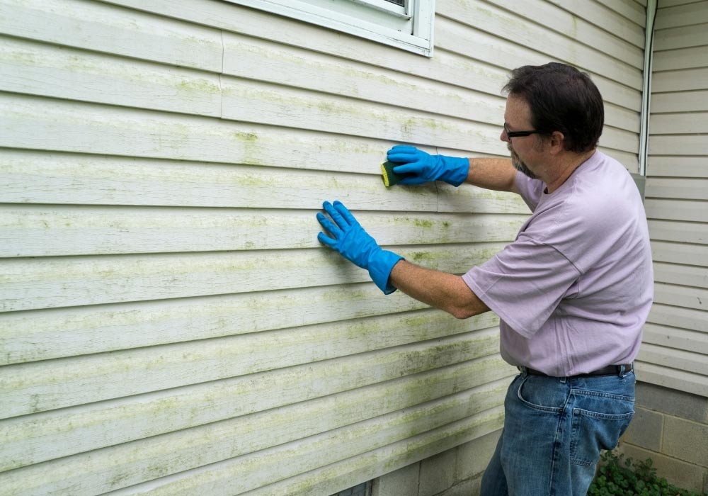 Preparing the Surface for Paint Application