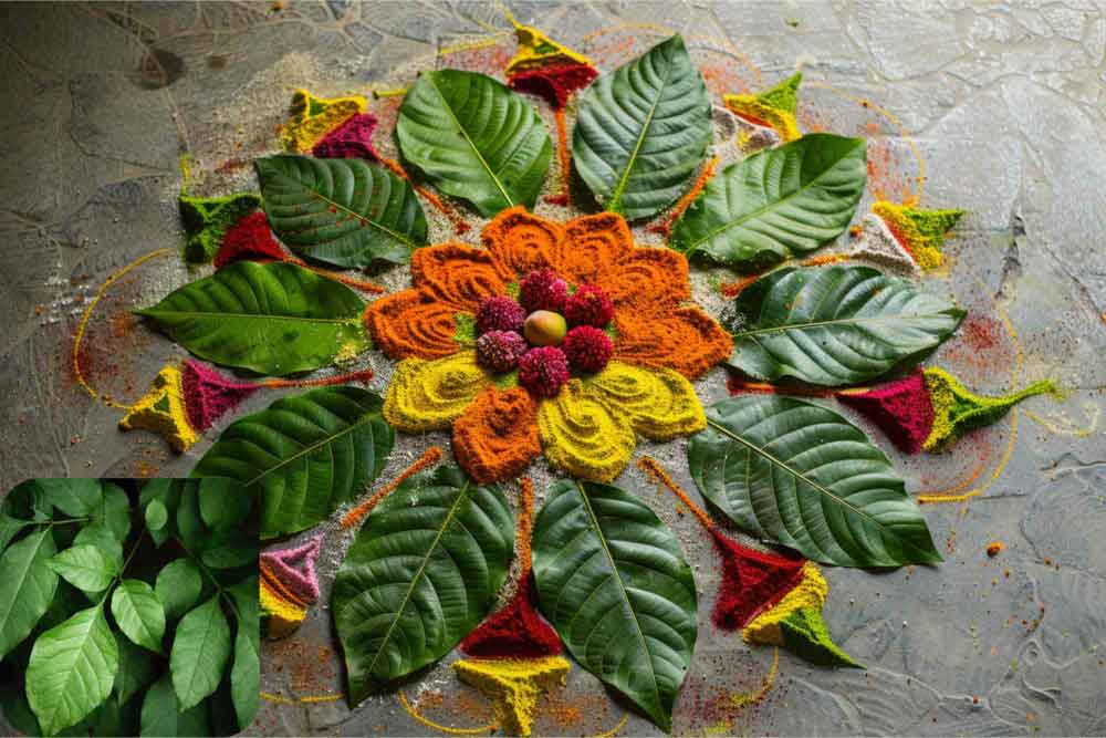 Rangoli Design Made With Leaves