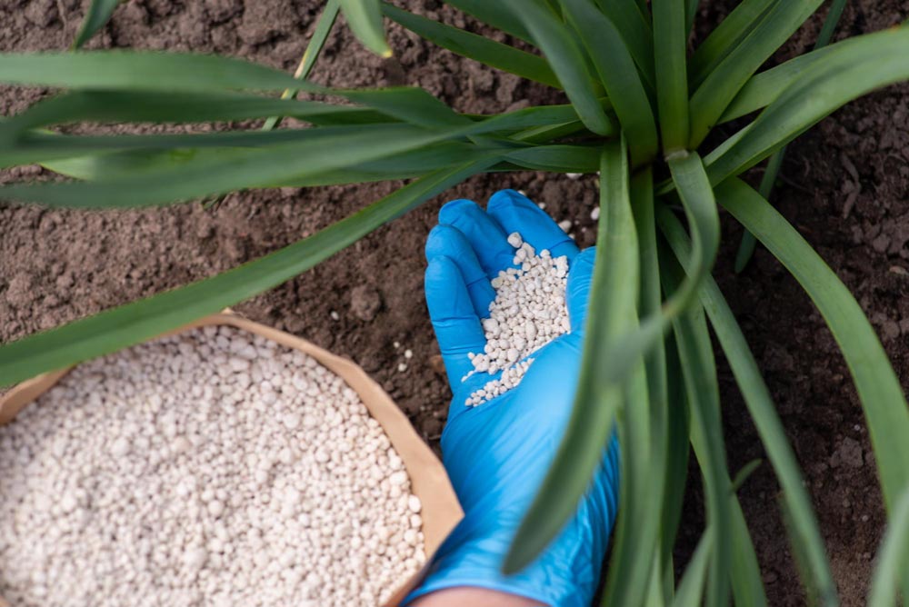 Fertilizing