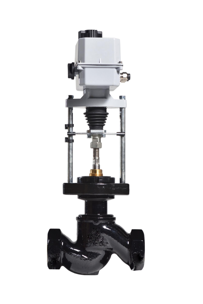 Globe Valves and ARX24-MFT-T Actuators
