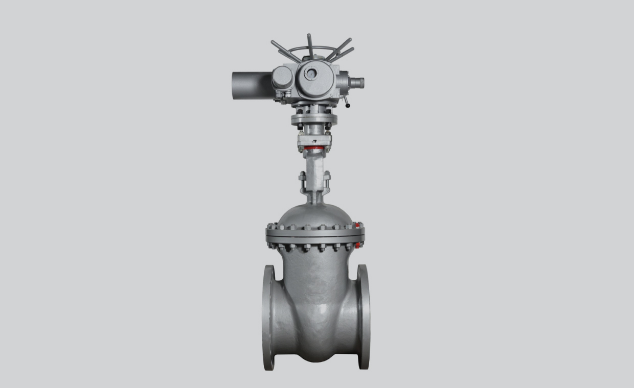Globe Valves with ARX24-MFT-T Actuators