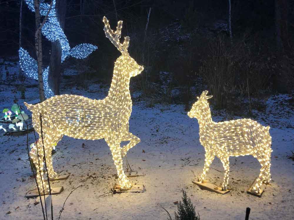 Illuminated Reindeer