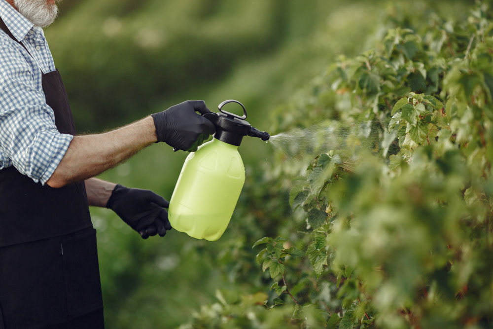 Preventing and Treating Bug Invasions