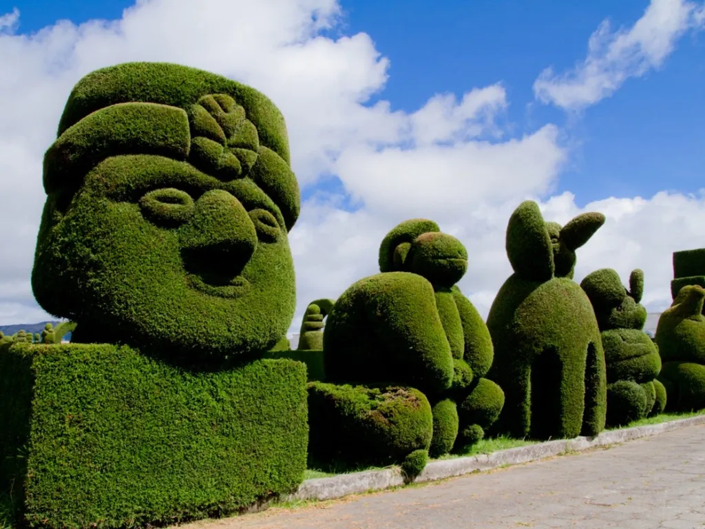 Topiary