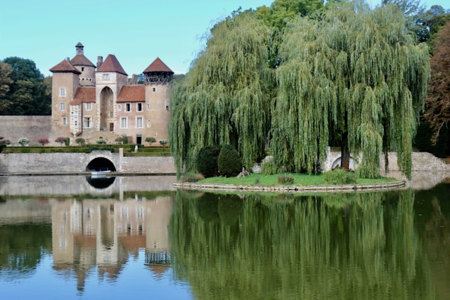 Weeping Willow