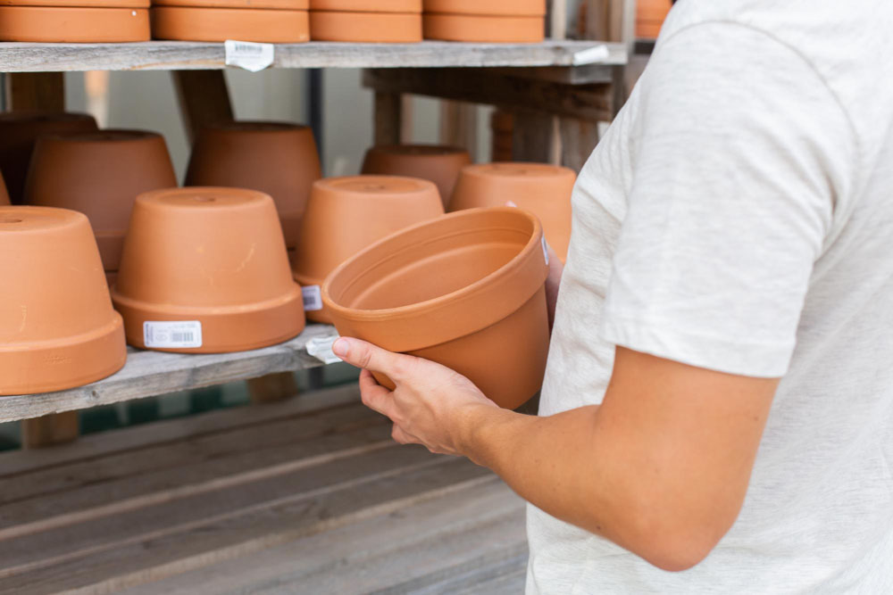 Choosing Containers for Compact Herb Gardens