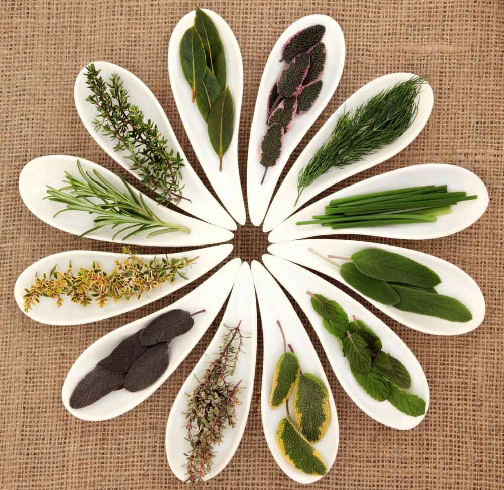 Choosing the Right Herbs for Small Spaces