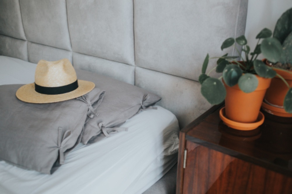 Furniture and Layout