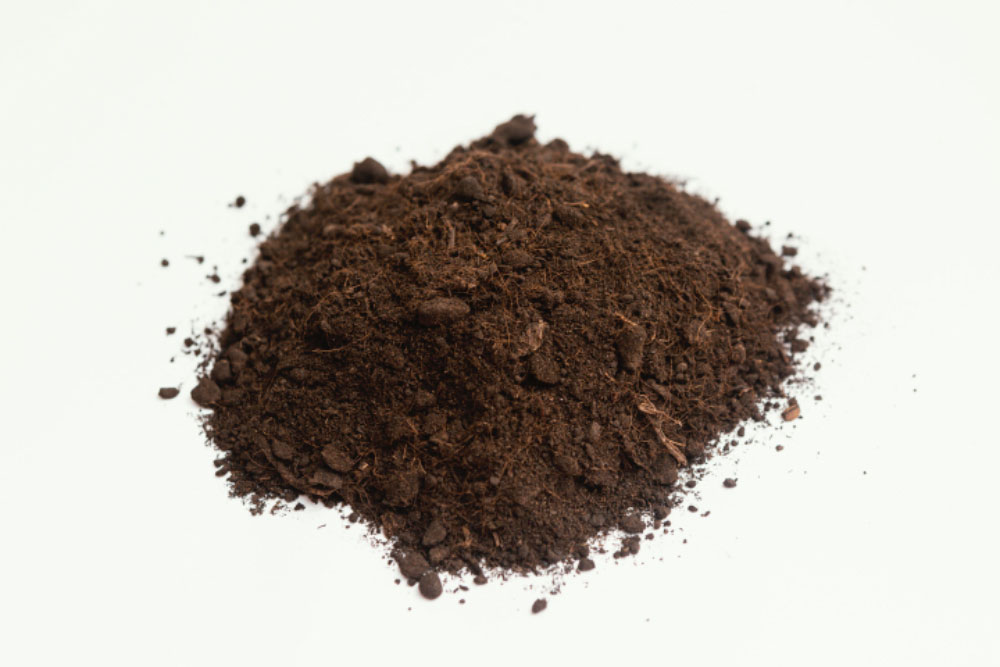 Loam Soil