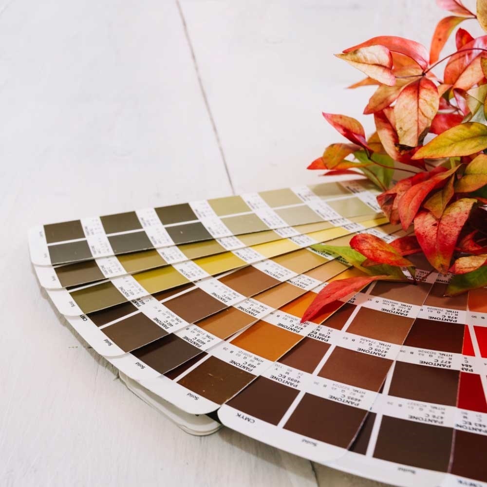 Right Color Palette