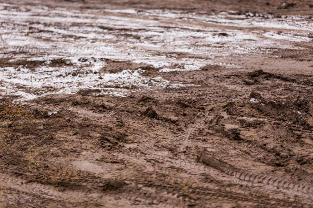 Silty Soil